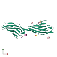 PDB entry 2v5t coloured by chain, front view.