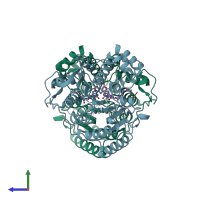 PDB entry 2v5w coloured by chain, side view.