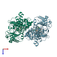 PDB entry 2v61 coloured by chain, top view.