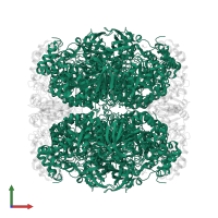 Ribulose bisphosphate carboxylase large chain in PDB entry 2v63, assembly 1, front view.