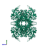 Homo tetrameric assembly 1 of PDB entry 2v65 coloured by chemically distinct molecules, side view.