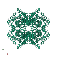 Homo tetrameric assembly 2 of PDB entry 2v65 coloured by chemically distinct molecules, front view.