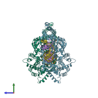 PDB entry 2v6e coloured by chain, side view.