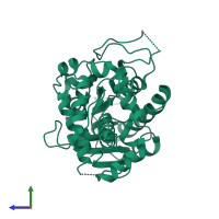 PDB entry 2v6f coloured by chain, side view.