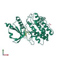 PDB entry 2v7o coloured by chain, front view.