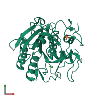 PDB entry 2v8b coloured by chain, front view.