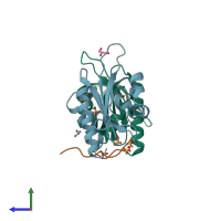 PDB entry 2v8f coloured by chain, side view.