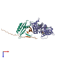 PDB entry 2v8q coloured by chain, top view.