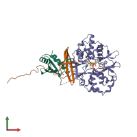 PDB entry 2v9j coloured by chain, front view.