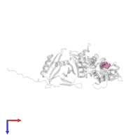 ADENOSINE MONOPHOSPHATE in PDB entry 2v9j, assembly 1, top view.