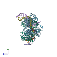 PDB entry 2v9w coloured by chain, side view.