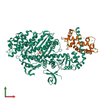 PDB entry 2vas coloured by chain, front view.