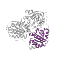 The deposited structure of PDB entry 2vbf contains 2 copies of Pfam domain PF00205 (Thiamine pyrophosphate enzyme, central domain) in Branched-chain alpha-ketoacid decarboxylase. Showing 1 copy in chain A.