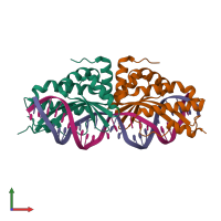 PDB entry 2vbj coloured by chain, front view.
