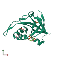 PDB entry 2vbu coloured by chain, front view.