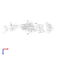 2-acetamido-2-deoxy-beta-D-glucopyranose in PDB entry 2vc2, assembly 1, top view.