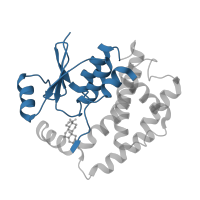 The deposited structure of PDB entry 2vct contains 8 copies of CATH domain 3.40.30.10 (Glutaredoxin) in Glutathione S-transferase A2. Showing 1 copy in chain A.
