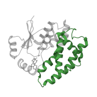 The deposited structure of PDB entry 2vct contains 8 copies of Pfam domain PF00043 (Glutathione S-transferase, C-terminal domain) in Glutathione S-transferase A2. Showing 1 copy in chain A.