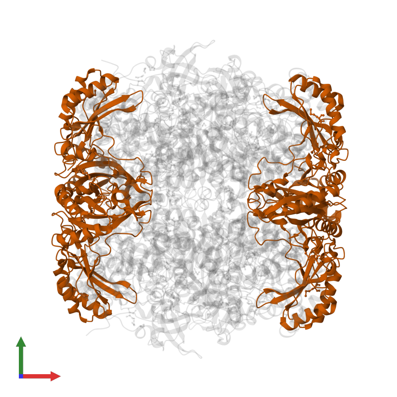 PDB 2vdh gallery ‹ Protein Data Bank in Europe (PDBe) ‹ EMBLEBI