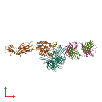 PDB entry 2vdn coloured by chain, front view.