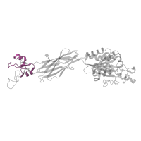 The deposited structure of PDB entry 2vdq contains 1 copy of Pfam domain PF17205 (Integrin plexin domain) in Integrin beta-3. Showing 1 copy in chain B.