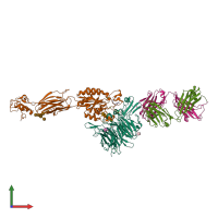 PDB entry 2vdr coloured by chain, front view.