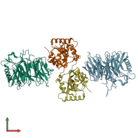 PDB entry 2vdu coloured by chain, front view.