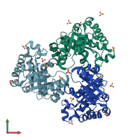 PDB entry 2vei coloured by chain, front view.