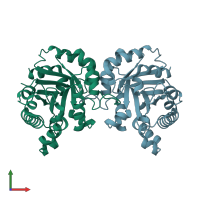 PDB entry 2vff coloured by chain, front view.