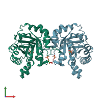 PDB entry 2vfi coloured by chain, front view.