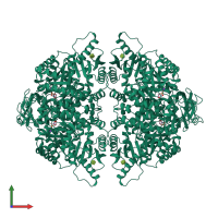 Homo tetrameric assembly 1 of PDB entry 2vgf coloured by chemically distinct molecules, front view.