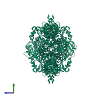 Homo tetrameric assembly 1 of PDB entry 2vgf coloured by chemically distinct molecules, side view.