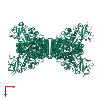 Pyruvate kinase PKLR in PDB entry 2vgf, assembly 1, top view.
