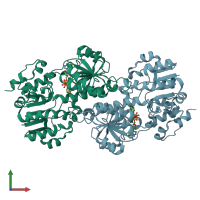 PDB entry 2vhv coloured by chain, front view.