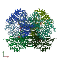 PDB entry 2vhw coloured by chain, front view.