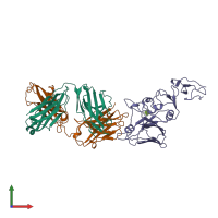 PDB entry 2vis coloured by chain, front view.