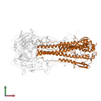 Hemagglutinin HA2 chain in PDB entry 2viu, assembly 1, front view.