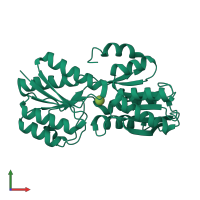 PDB entry 2vk2 coloured by chain, front view.