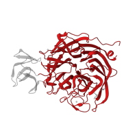 The deposited structure of PDB entry 2vk5 contains 1 copy of CATH domain 2.120.10.10 (Neuraminidase) in exo-alpha-sialidase. Showing 1 copy in chain A.