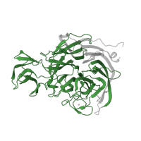 The deposited structure of PDB entry 2vk5 contains 1 copy of Pfam domain PF13859 (BNR repeat-like domain) in exo-alpha-sialidase. Showing 1 copy in chain A.