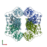 PDB entry 2vk8 coloured by chain, front view.