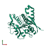 CTP synthase 2 in PDB entry 2vkt, assembly 1, front view.