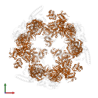 Fatty acid synthase subunit beta in PDB entry 2vkz, assembly 1, front view.