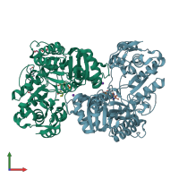 PDB entry 2vlh coloured by chain, front view.