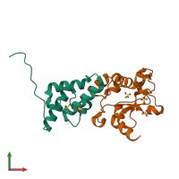 PDB entry 2vlo coloured by chain, front view.