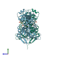 PDB entry 2vn8 coloured by chain, side view.