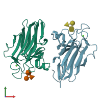 PDB entry 2vng coloured by chain, front view.