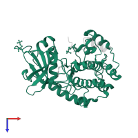 cAMP-dependent protein kinase catalytic subunit alpha in PDB entry 2vnw, assembly 1, top view.