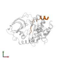 cAMP-dependent protein kinase inhibitor alpha in PDB entry 2vny, assembly 1, front view.