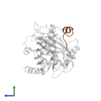 cAMP-dependent protein kinase inhibitor alpha in PDB entry 2vny, assembly 1, side view.